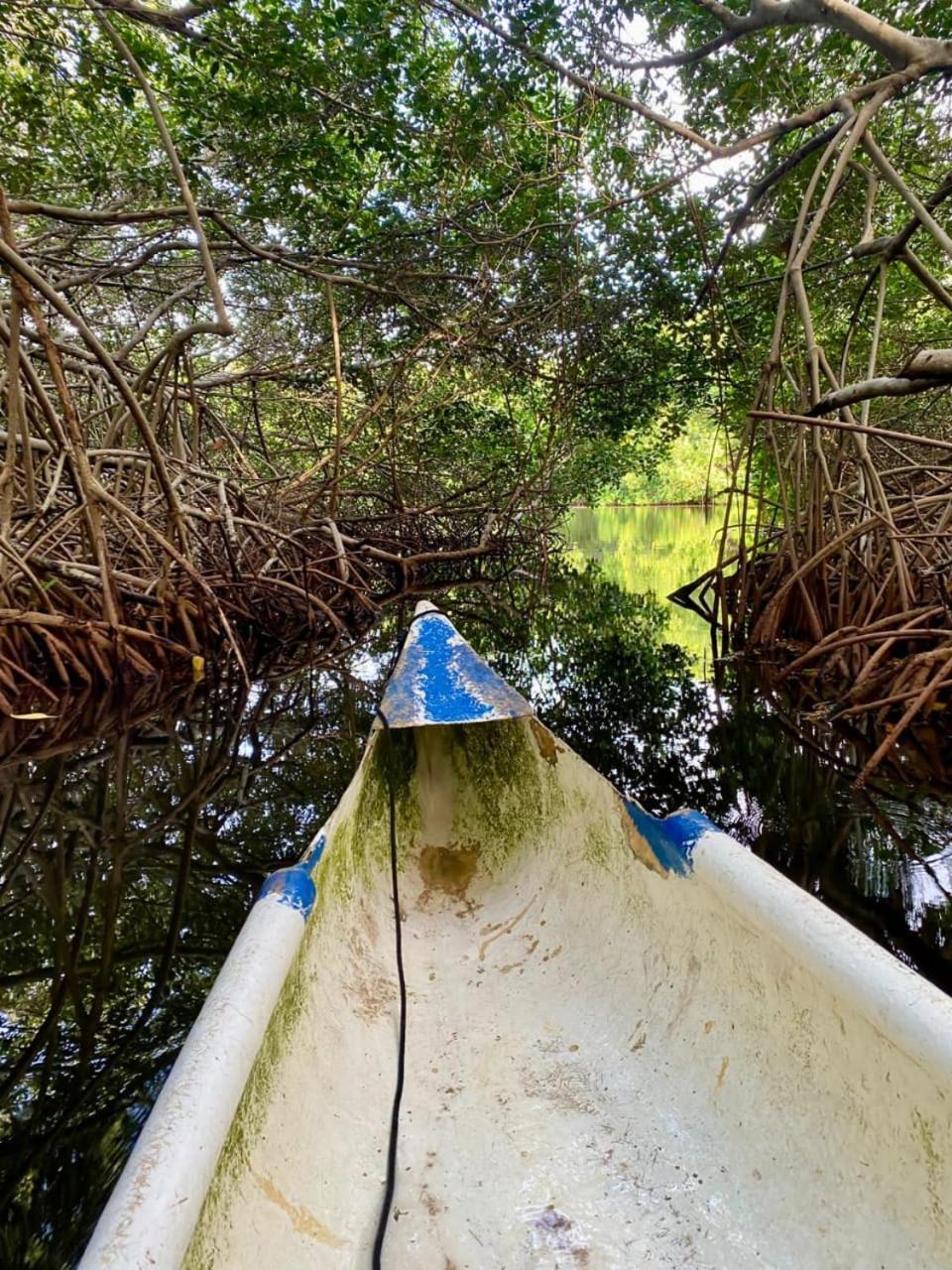 Eco Hotel Bosque Encantado Isla Grande  Eksteriør billede