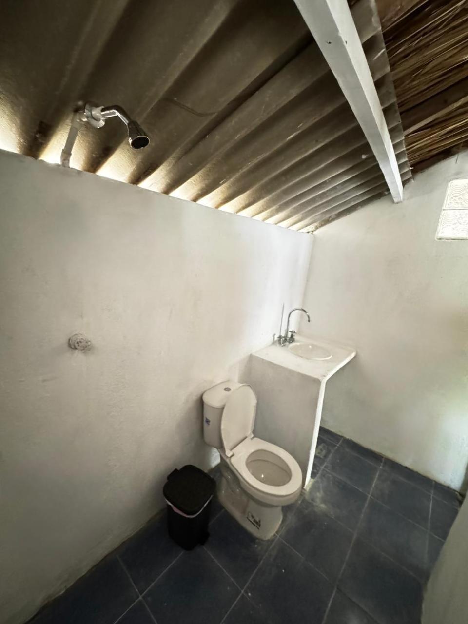 Eco Hotel Bosque Encantado Isla Grande  Eksteriør billede